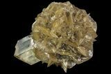 Twinned Selenite Crystals (Fluorescent) - Red River Floodway #77605-1